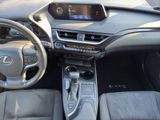 LEXUS UX 250h Style Edition SITZ&LENKRADHEIZUNG+DAB