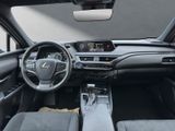 LEXUS UX 250h*STYLE*1HD*CARPLAY*