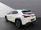 LEXUS UX 250h*F-Sport D.*1HD*SHZ*NAVI*CARPLAY*