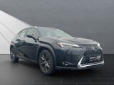 LEXUS UX 250 H,LEDER,NAVI, HUD DISPLAY*LEDER