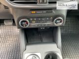 FORD Focus Titanium LED ACC Rückfahrkam. Winterpaket