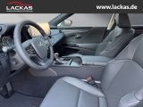LEXUS ES 300 h*BUSINESS*SCHIEBEDACH 15J-GARANTIE*
