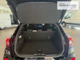 FORD Puma ST-Line 1.0 EcoBoost MHEV -360°Kamera-Sensorg.Heckklappe-