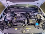 AUDI Q2 35 TFSI S-tronic S-line competition Navi+