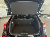 FORD Puma ST-Line 1.0 EcoBoost MHEV -360°Kamera-Sensorg.Heckklappe-