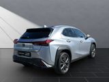 LEXUS UX 250h F Sport Design