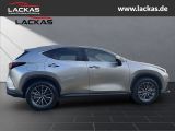 LEXUS NX 450 h+ 450 h+*Interieur - Pa NX (AZ20) 450 h+