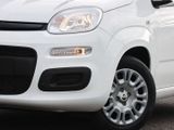 FIAT New Panda Pandina Pop