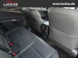 LEXUS NX 350h h 243 PS Executive Inter ieur + Techno P
