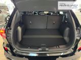 FORD Kuga Plug-In Hybrid ST-Line X Navi Leder Digitales Cockpit Soundsystem B & O 360 Kamera