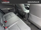LEXUS NX 350h h 243 PS Executive Inter ieur + TechnoP