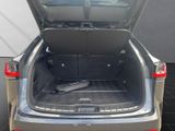 LEXUS NX 450h +F Sport AWD 20"+360°+SITZKÜHLUNG