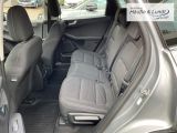 FORD Kuga Plug-In Hybrid Titanium AHK-klappbar