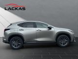 LEXUS NX 450h + Business E-FOUR