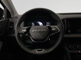 SKODA Karoq Tour Klima Navi Einparkhilfe Fenster el.