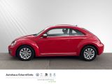 VW Beetle Design Klima Einparkhilfe Klima