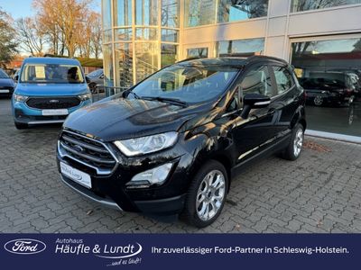 FORD EcoSport Titanium Allwetterreifen Rückfahrkam.