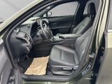 LEXUS UX 250h*FSPORT-D*1.HD*ALLW.REIF** 15J-GARANTIE*