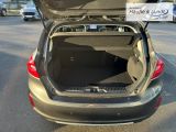 FORD Fiesta Vignale Panorama Navi Soundsystem B & O ACC Apple CarPlay Android Auto Klimaautom