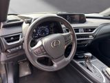 LEXUS UX 250H*SCHECKHEFT*TOTW*LEDER*