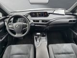 LEXUS UX 250h *lenkH*sitzH*Kamera*