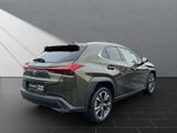 LEXUS UX 250h*STYLE*1HD*CARPLAY*