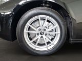 AUDI A5 Avant TFSI S-tronic Matrix ACC Parkassistent