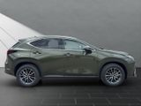 LEXUS NX 350h h 243 PS Executive Inter ieur Paket + Te