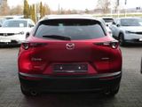 MAZDA CX-30 NAVI+PDC+RfK+SHZ+LHZ