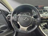 LEXUS NX 300 h E-Four Luxury *HUD*PANO*360*