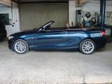 BMW 220i Luxury Line Leder Klima PDC 17 LM