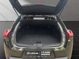 LEXUS UX 250h*FSPORT-D*1HD*ALLW.R*LEDER* 15J-GARANTIE*