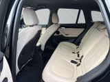 BMW X1 25 e xDrive M Sport PDC Temp Klima DAB SHZ