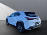 LEXUS UX 250h*F-Sport-D*1HD*SHZ*CARPLAY* DAB*