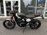 TRIUMPH Scrambler 400 X Sofort Verfügbar