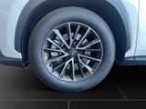 LEXUS NX 450h Executive,PANO,Interieur +Technik Paket