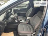 FORD Kuga Plug-In Hybrid ST-Line HUD AHK-klappbar Navi Digitales Cockpit LED Blendfreies Fernl.