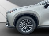 LEXUS NX 450h + Business 4x4+SITZBELÜF.+SHZ hinten+360