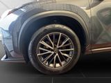 LEXUS NX 350h Business*360°*TOTW*PDC*SITZLÜFTUNG*