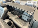 FORD Mustang GT Convertible 5.0 Ti-VCT V8 EU6d-T Faltdach Navi Leder Soundsystem B & O Klimasitze