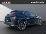 LEXUS UX 250h 250 h 250h*LED*KAMERA* TOP*TWW*DAB*SERVI