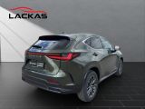 LEXUS NX 350h Executive Line 2.5*360° Kamera*Memorysit