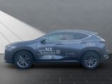 LEXUS NX 450h +EXECUTIVE*PANO*MEMORY*HUD* 15J-GARANTIE