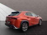 LEXUS UX 250h*F-SPORT-D*1.HD*ALLW.REIF** 15J-GARANTIE*