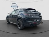 ALFA ROMEO Stelvio 2.2 Diesel 16V 154kW Q4 Panorama-Dach,AHK,Navi