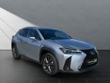LEXUS UX 250h F Sport Design