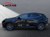 LEXUS NX 450h + BUSINESS 4x4 1HD NAVI CARPLAY