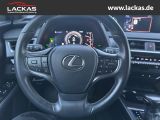 LEXUS UX 250h EU6d STYLE+*LED*ACC*CA RPLAY* LED ACC Ap