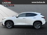 LEXUS NX 450h + Executive PANO Interieur+Techno Paket