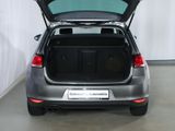 VW Golf 7 1,4 Xenon ACC Pano Navi Kamera Parkassist.